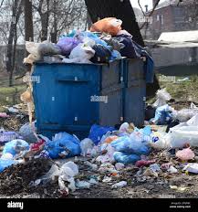 Best Same-Day Junk Removal Services  in Stevensville, MI