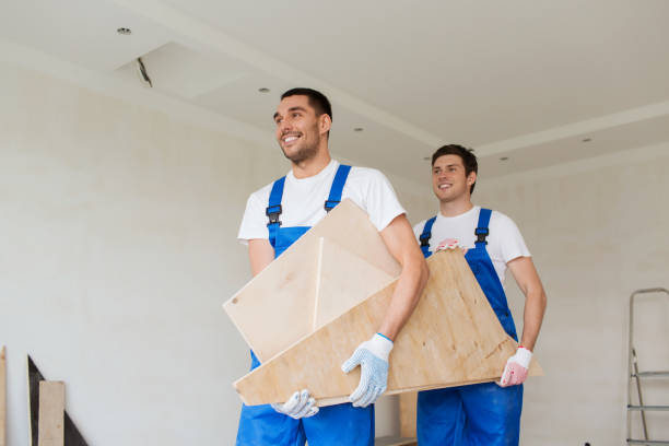 Best Residential Junk Removal  in Stevensville, MI